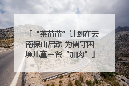 “茶苗苗”计划在云南保山启动 为留守困境儿童三餐“加肉”