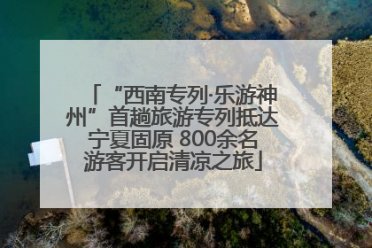 “西南专列·乐游神州”首趟旅游专列抵达宁夏固原 800余名游客开启清凉之旅