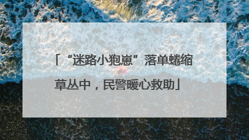 “迷路小狍崽”落单蜷缩草丛中，民警暖心救助