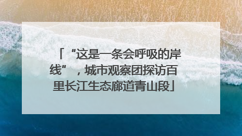 “这是一条会呼吸的岸线”，城市观察团探访百里长江生态廊道青山段