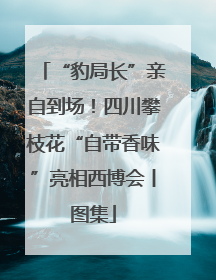 “豹局长”亲自到场！四川攀枝花“自带香味”亮相西博会丨图集