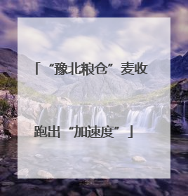 “豫北粮仓”麦收跑出“加速度”