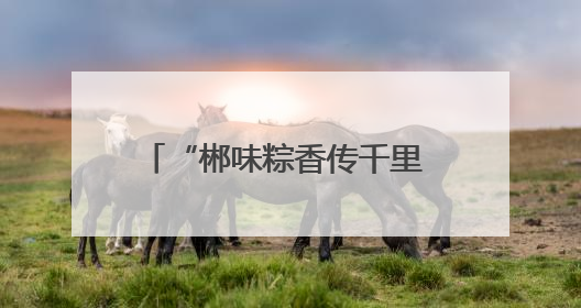 “郴味粽香传千里 金榜题名创未来”特色粽子推介暨大学生创业助力活动收官