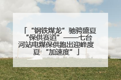 “钢铁煤龙”驰骋盛夏 “保供赛道”——七台河站电煤保供跑出迎峰度夏 “加速度”