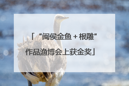 “闽侯金鱼＋根雕”作品渔博会上获金奖