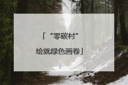 “零碳村” 绘就绿色画卷