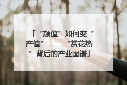 “颜值”如何变“产值”——“赏花热”背后的产业图谱