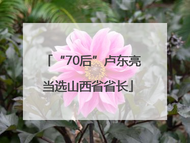 “70后”卢东亮当选山西省省长