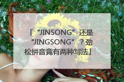“JINSONG”还是“JINGSONG”？劲松拼音竟有两种写法