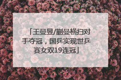王曼昱/蒯曼横扫对手夺冠，国乒实现世乒赛女双19连冠