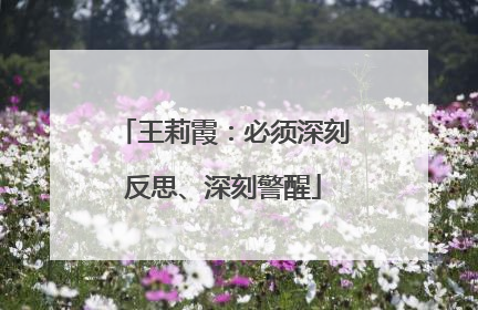 王莉霞：必须深刻反思、深刻警醒