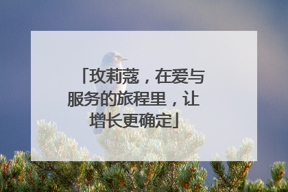 玫莉蔻，在爱与服务的旅程里，让增长更确定