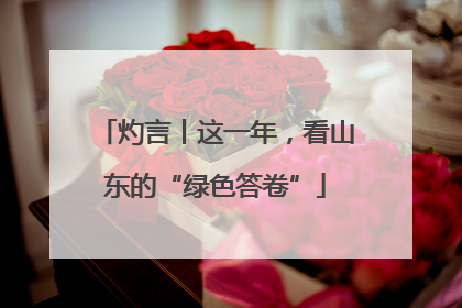 灼言丨这一年，看山东的“绿色答卷”