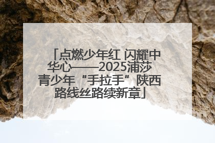 点燃少年红 闪耀中华心——2025浦莎青少年“手拉手”陕西路线丝路续新章