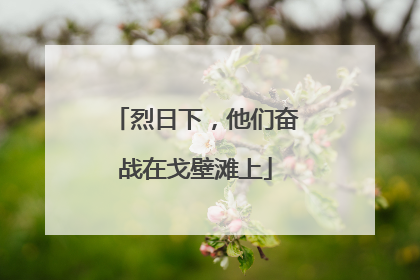 烈日下，他们奋战在戈壁滩上
