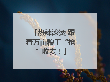 热辣滚烫 跟着万亩粮王“抢”收麦！
