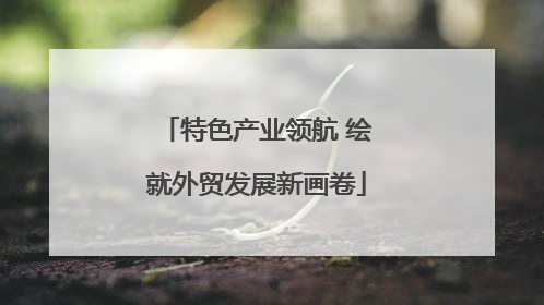 特色产业领航 绘就外贸发展新画卷