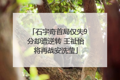 石宇奇首局仅失9分却遭逆转 王祉怡将再战安洗莹