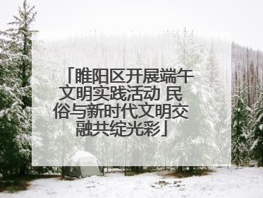 睢阳区开展端午文明实践活动 民俗与新时代文明交融共绽光彩
