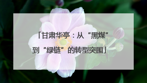 甘肃华亭：从“黑煤”到“绿链”的转型突围