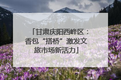 甘肃庆阳西峰区：香包“搭桥”激发文旅市场新活力