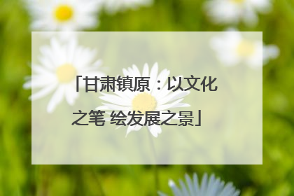 甘肃镇原：以文化之笔 绘发展之景