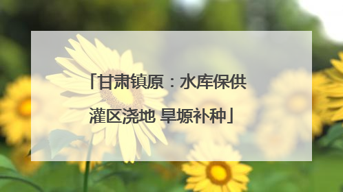 甘肃镇原：水库保供 灌区浇地 旱塬补种