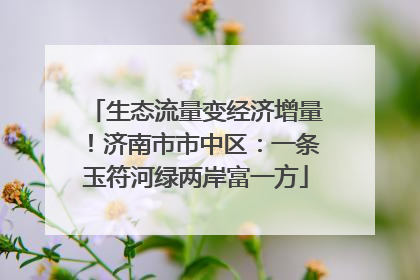 生态流量变经济增量！济南市市中区：一条玉符河绿两岸富一方