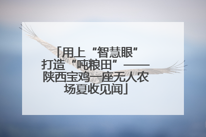 用上“智慧眼” 打造“吨粮田”——陕西宝鸡一座无人农场夏收见闻