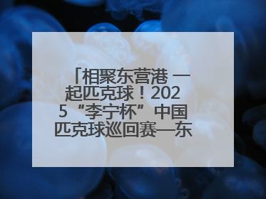 相聚东营港 一起匹克球！2025“李宁杯”中国匹克球巡回赛—东营站（CPC—1000）暨“好运山东”黄河口匹克球公开赛落幕