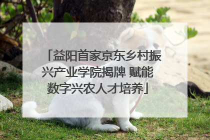 益阳首家京东乡村振兴产业学院揭牌 赋能数字兴农人才培养