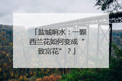 盐城响水：一颗西兰花如何变成“致富花”？