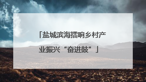 盐城滨海擂响乡村产业振兴“奋进鼓”