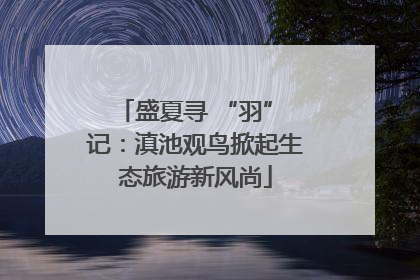 盛夏寻 “羽” 记：滇池观鸟掀起生态旅游新风尚