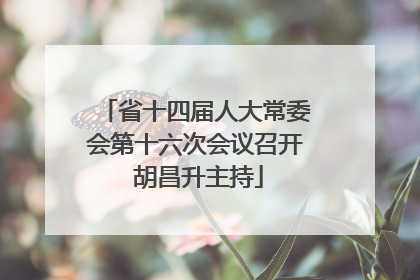 省十四届人大常委会第十六次会议召开 胡昌升主持
