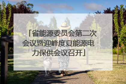 省能源委员会第二次会议暨迎峰度夏能源电力保供会议召开