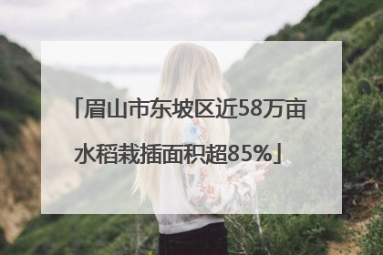 眉山市东坡区近58万亩水稻栽插面积超85%