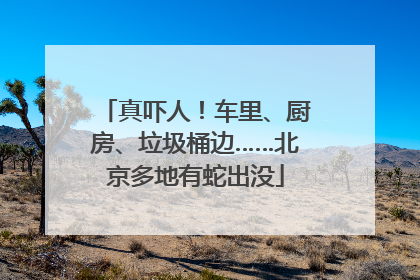 真吓人！车里、厨房、垃圾桶边……北京多地有蛇出没