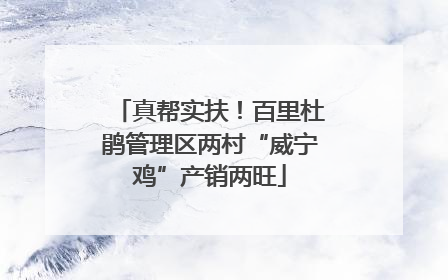 真帮实扶！百里杜鹃管理区两村“威宁鸡”产销两旺