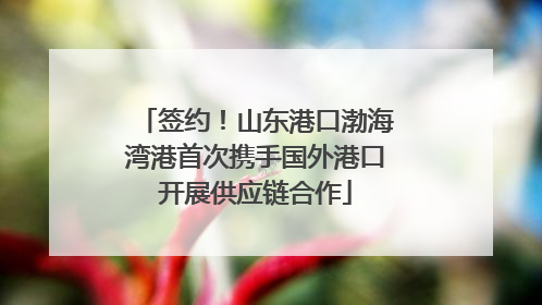 签约！山东港口渤海湾港首次携手国外港口开展供应链合作