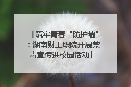 筑牢青春“防护墙”：湖南财工职院开展禁毒宣传进校园活动