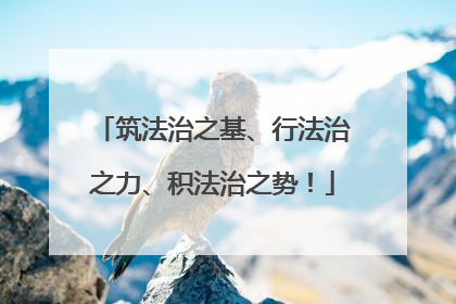 筑法治之基、行法治之力、积法治之势！