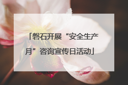 磐石开展“安全生产月”咨询宣传日活动