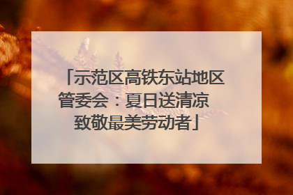 示范区高铁东站地区管委会：夏日送清凉 致敬最美劳动者