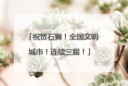 祝贺石狮！全国文明城市！连续三届！