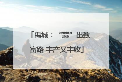 禹城：“蒜”出致富路 丰产又丰收