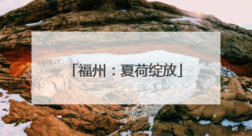 福州：夏荷绽放