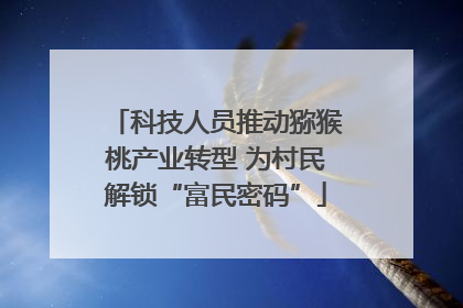 科技人员推动猕猴桃产业转型 为村民解锁“富民密码”
