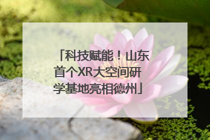 科技赋能！山东首个XR大空间研学基地亮相德州