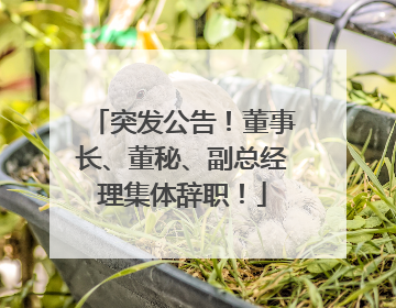 突发公告！董事长、董秘、副总经理集体辞职！